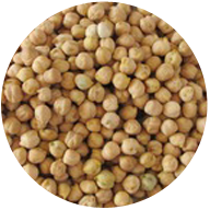 Chick Peas