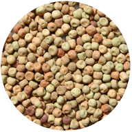 Kaspa Peas