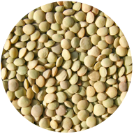 Lentils