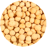 Yellow Peas